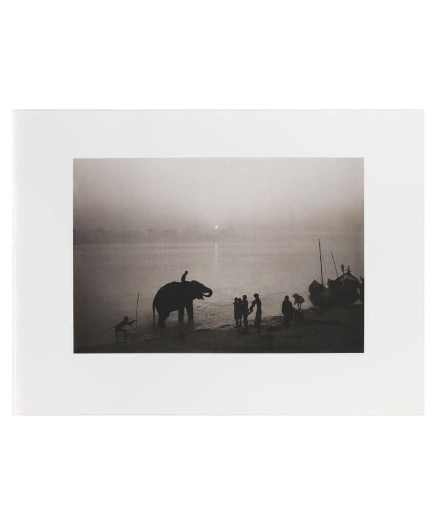 Along the Ganges during the Sonepur Mela Festival