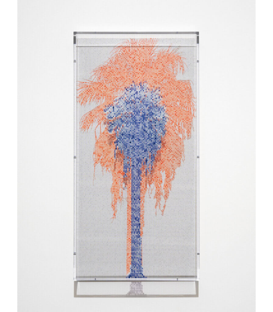 Numbers and Trees: Palm Canyon, Palm Trees Series 3, Tree #1, California