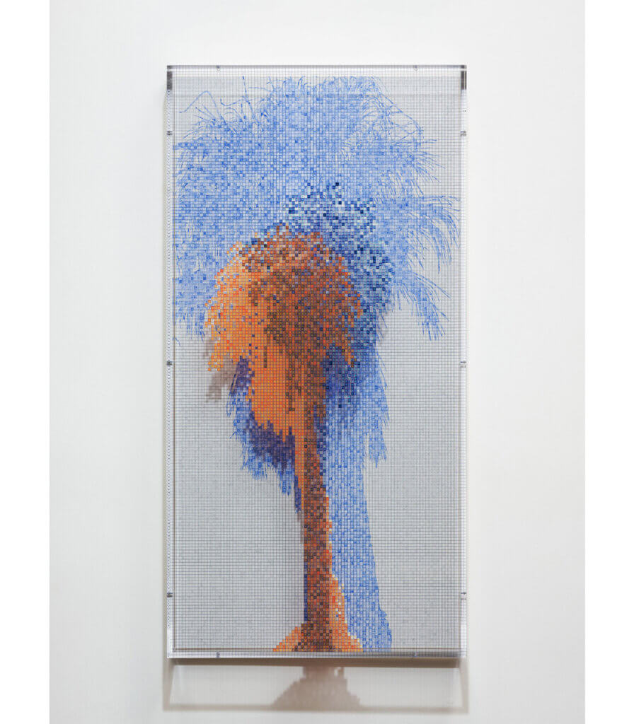 Numbers and Trees: Palm Canyon, Palm Trees Series 3, Tree #2, Arizona