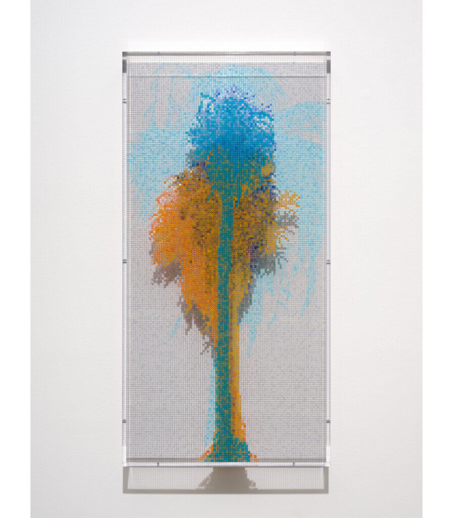 Numbers and Trees: Palm Canyon, Palm Trees Series 3, Tree #5, Louisiana