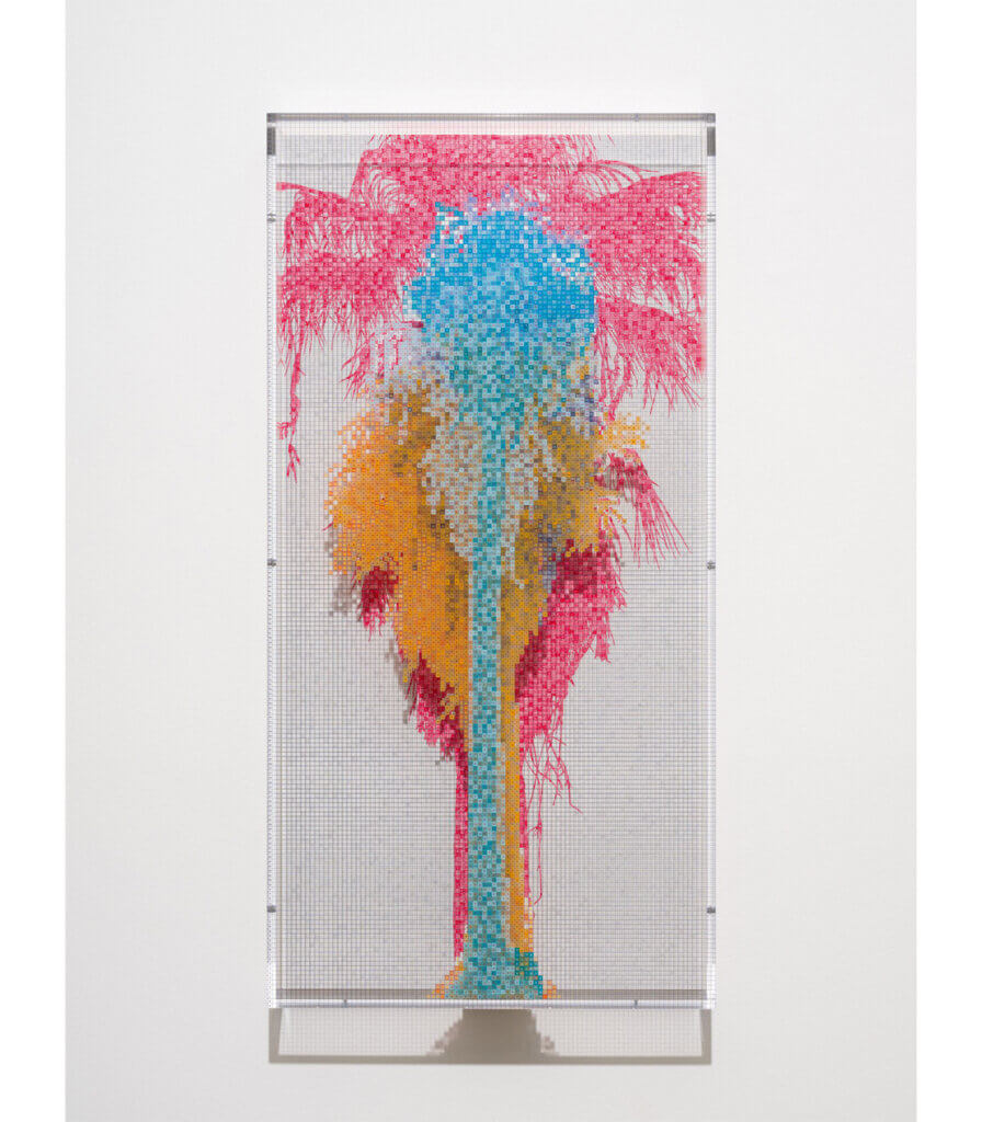 Numbers and Trees: Palm Canyon, Palm Trees Series 3, Tree #6, Mississippi