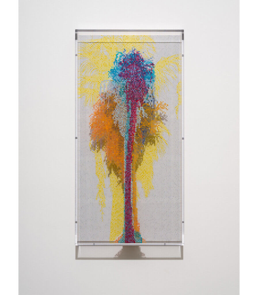 Numbers and Trees: Palm Canyon, Palm Trees Series 3, Tree #7, Alabama