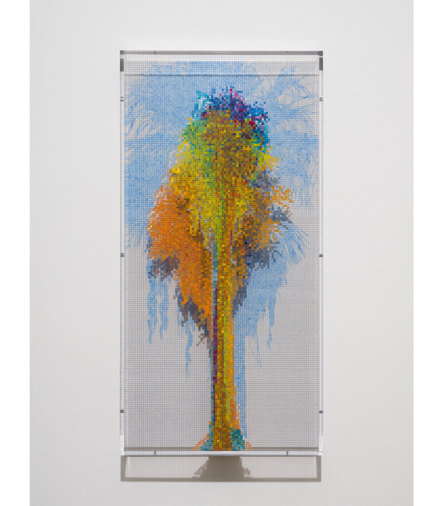 Numbers and Trees: Palm Canyon, Palm Trees Series 3, Tree #8, Florida