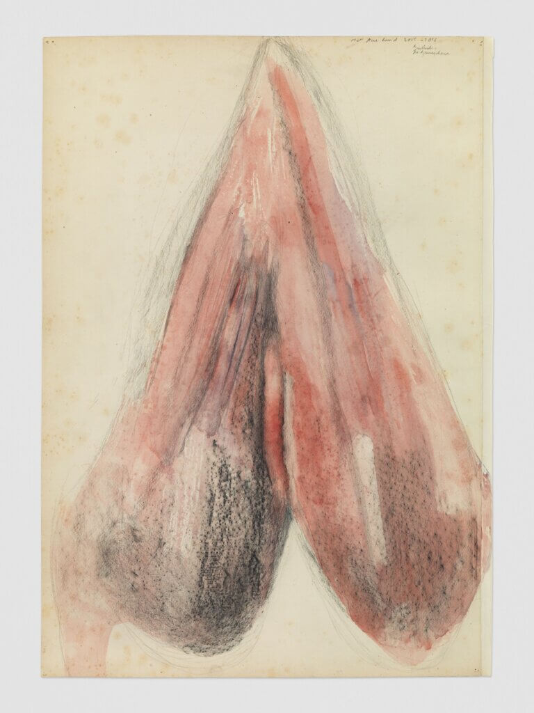 Met Tere Huid, 2016