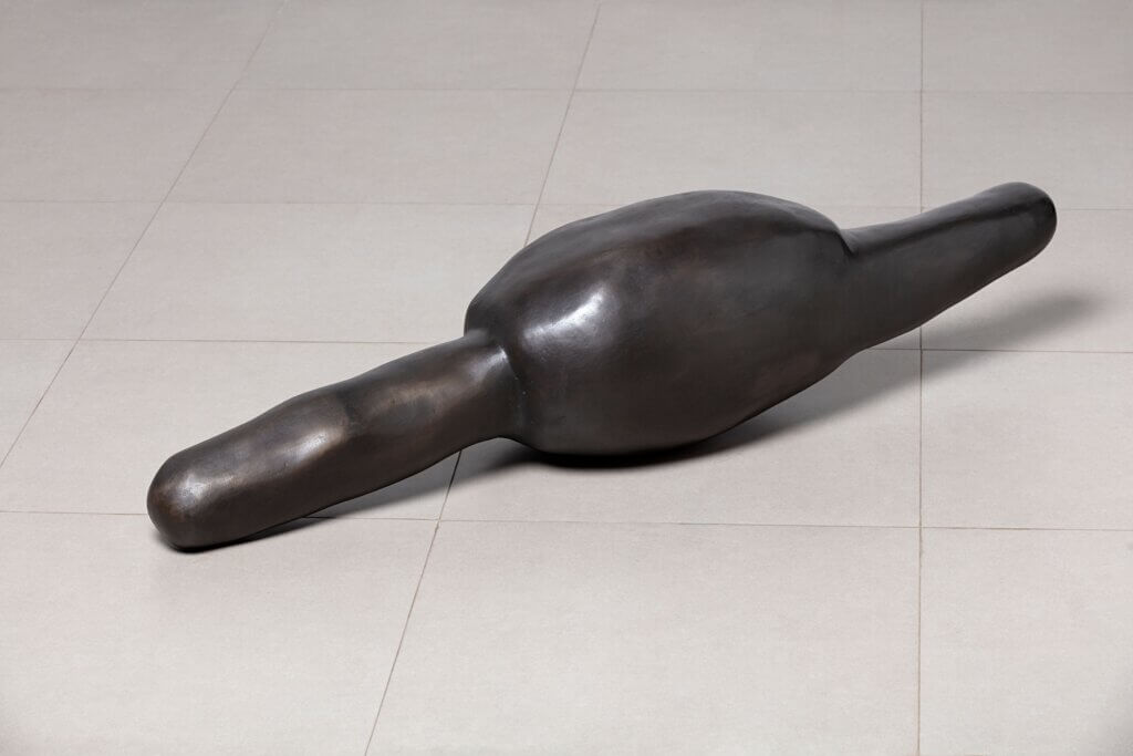 Untitled, from Hilomorfos (Hylomorphs) series