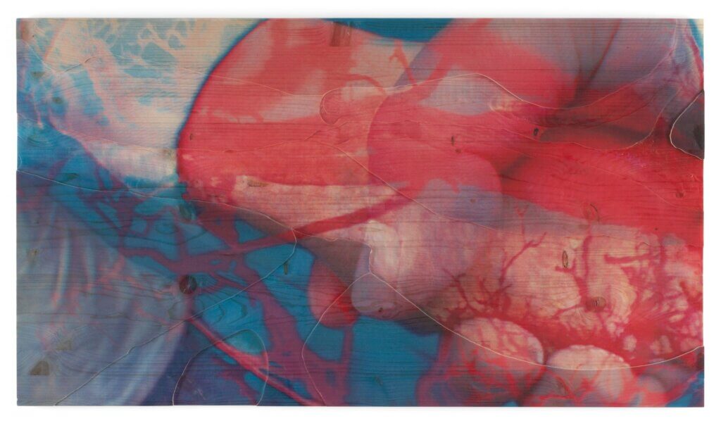 Untitled 9