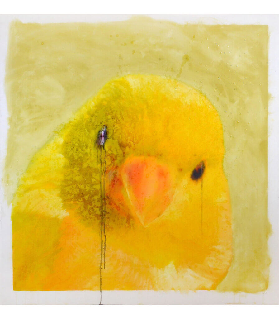 Portraits (Canary)