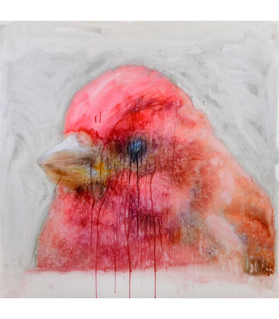 Portraits<br>(Purple Finch)