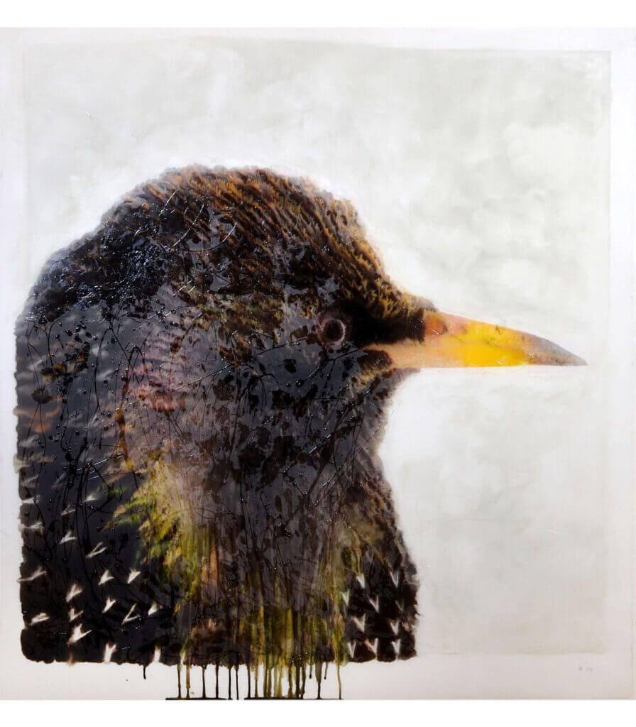 Portraits (Starling)