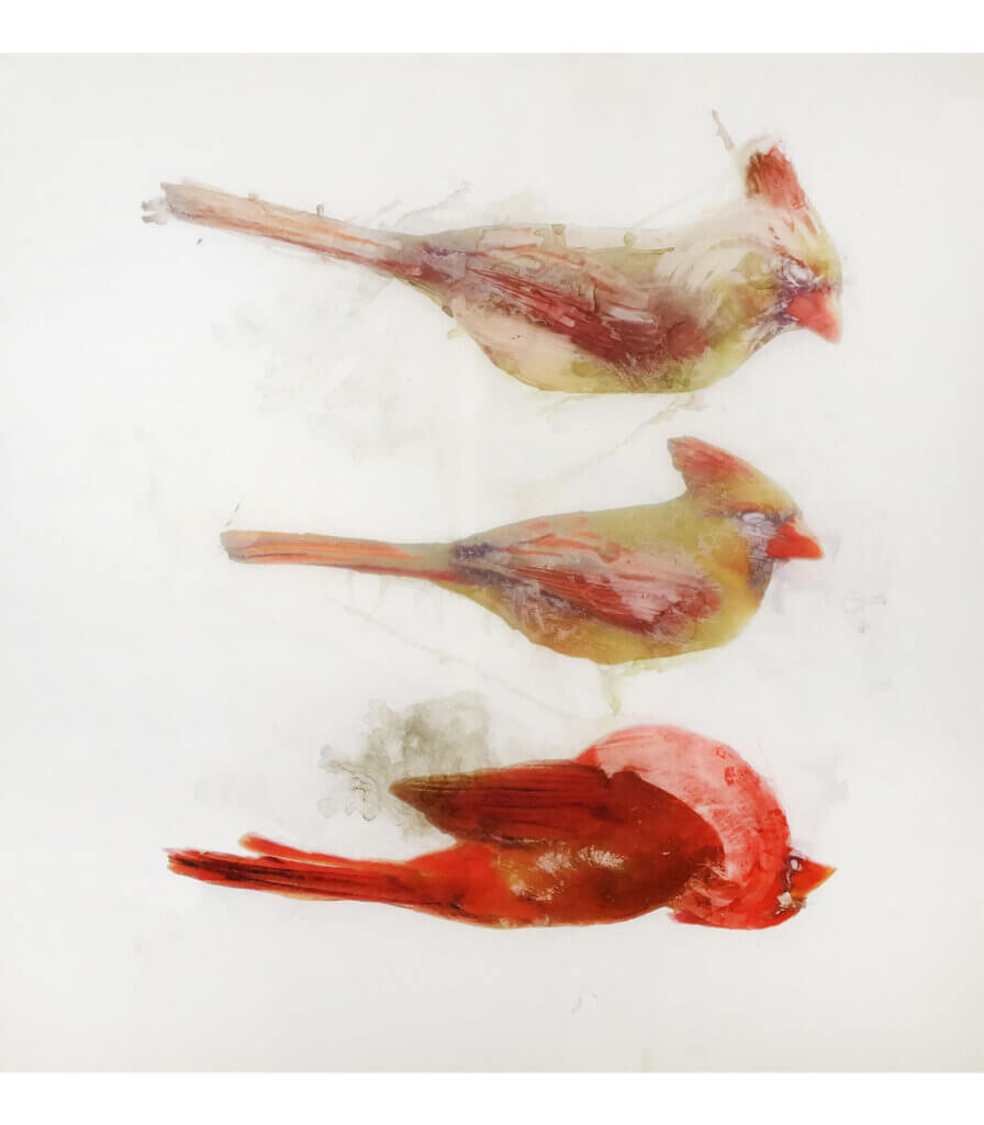 Cardinal