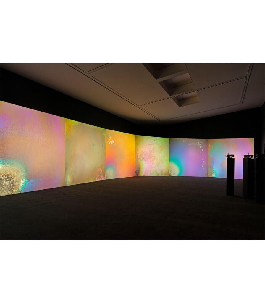 Liquid Crystal Environment