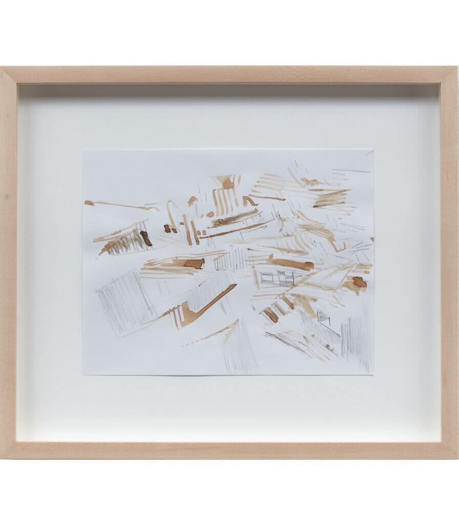 Untitled (Late Nature Drawing)