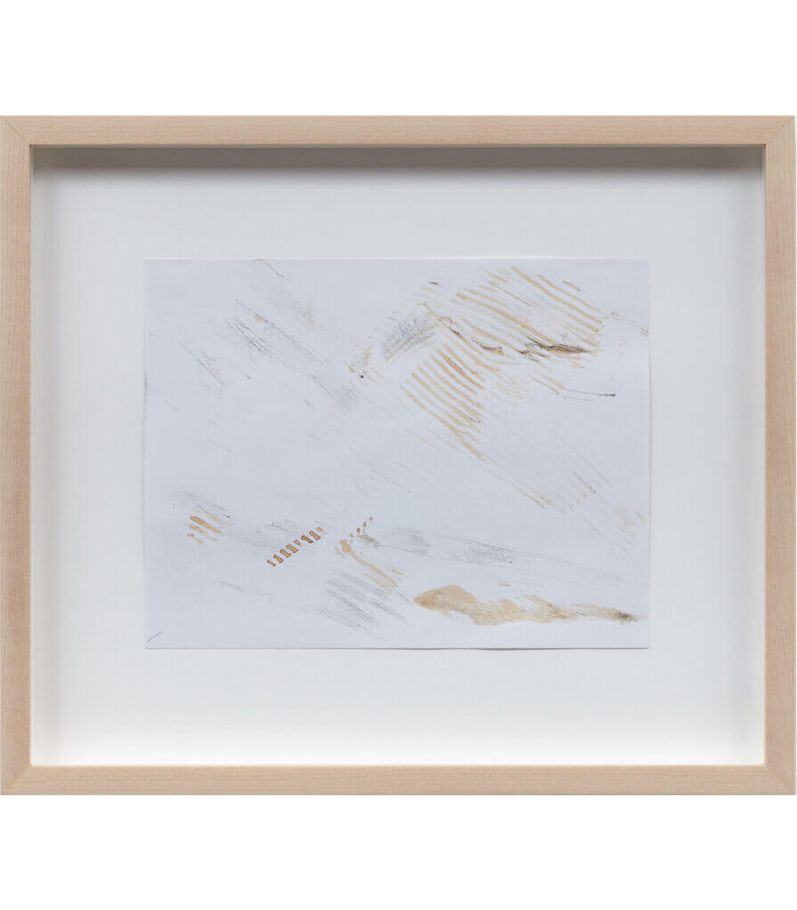 Untitled (Late Nature Drawing)