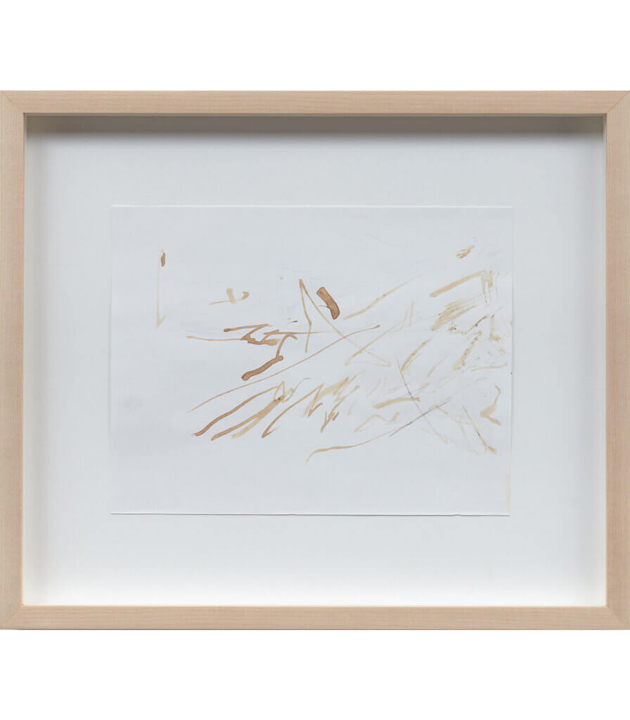 Untitled (Late Nature Drawing)