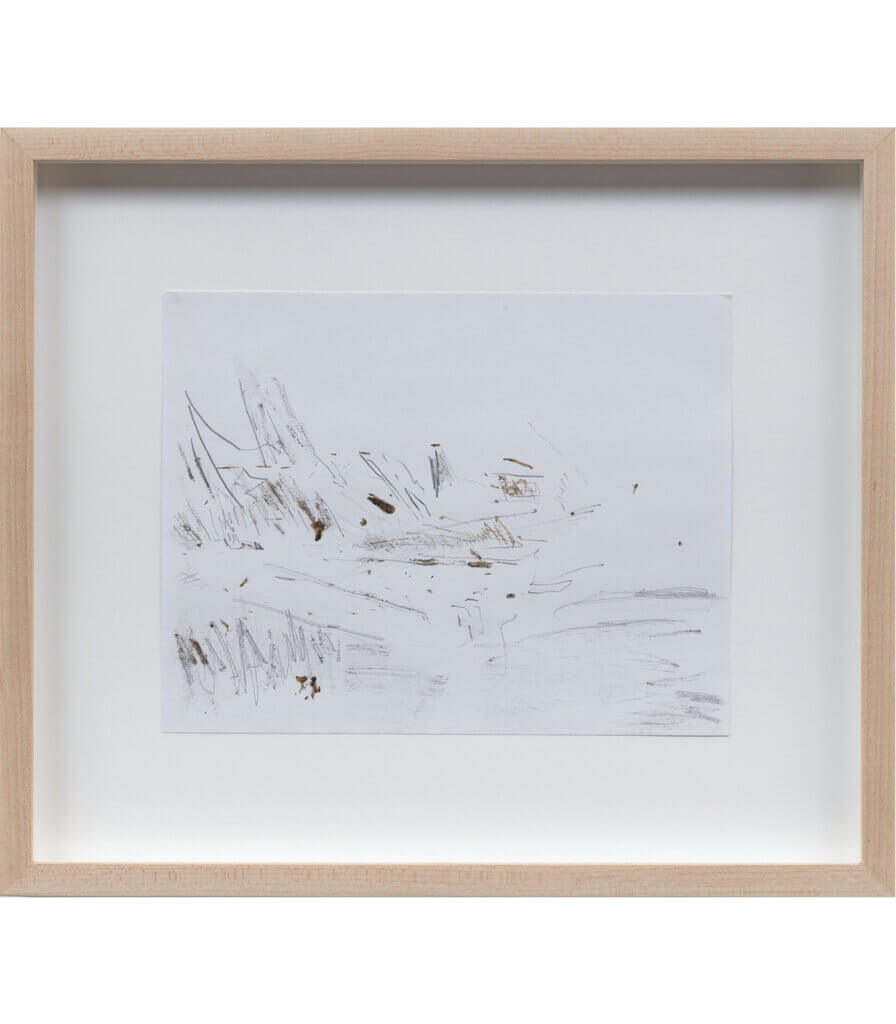 Untitled (Late Nature Drawing)