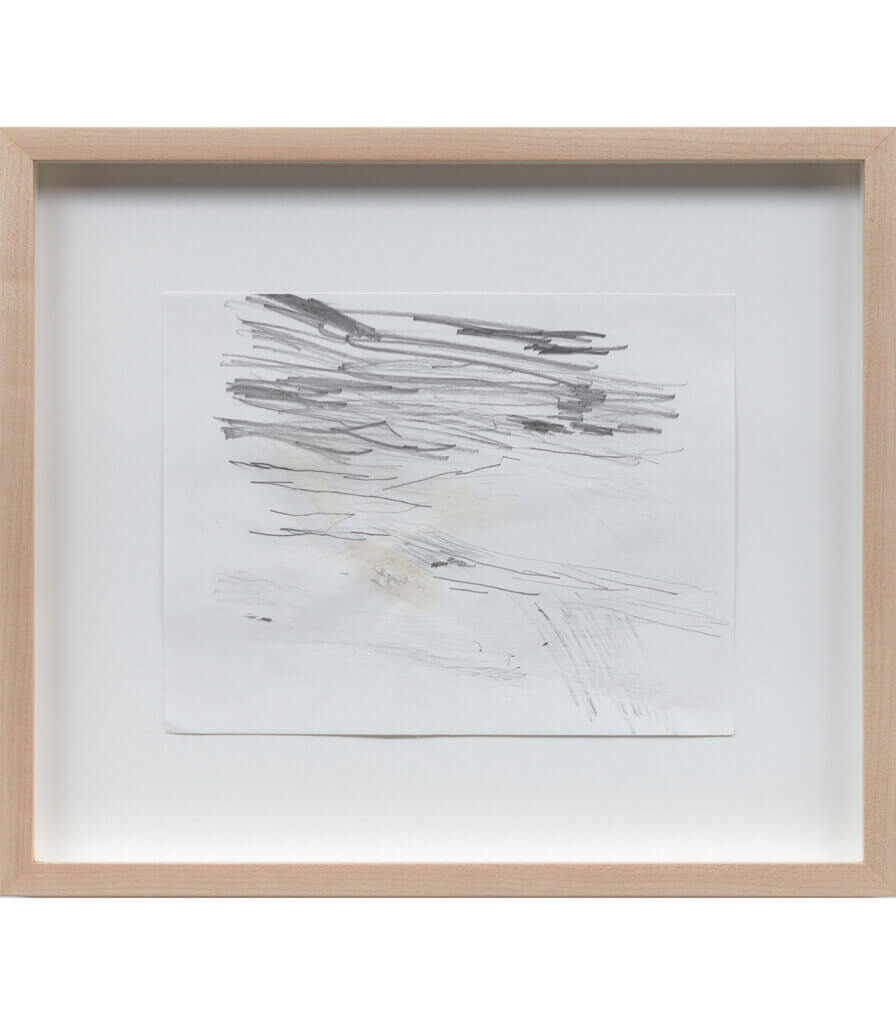 Untitled (Late Nature Drawing)