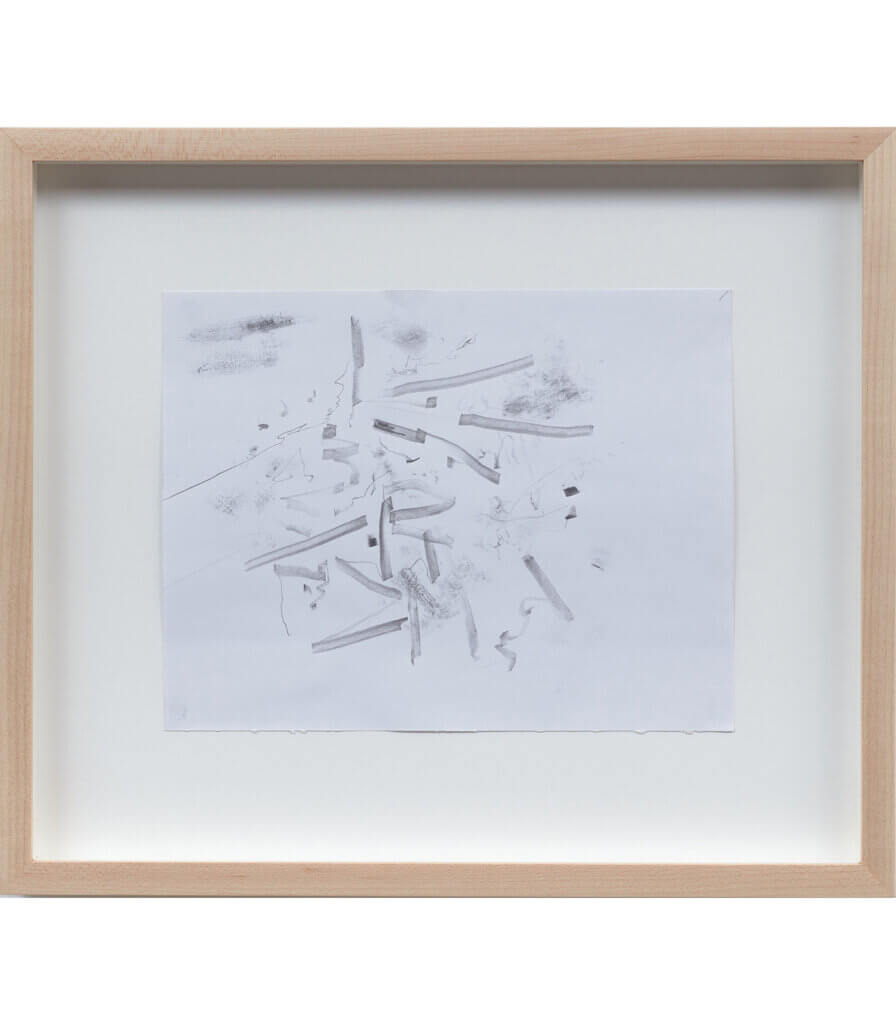 Untitled (Late Nature Drawing)