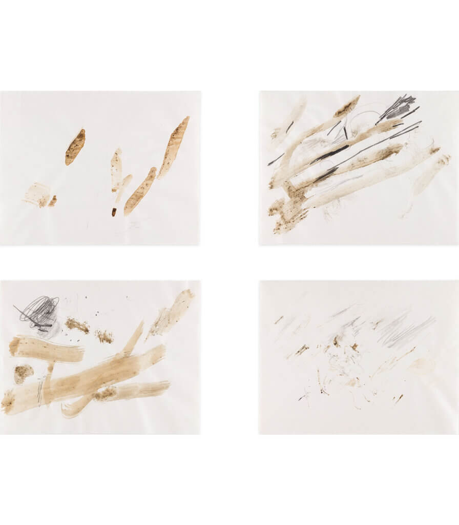 Untitled (Late Nature Drawings)