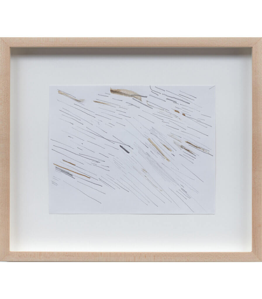 Untitled (Late Nature Drawing)