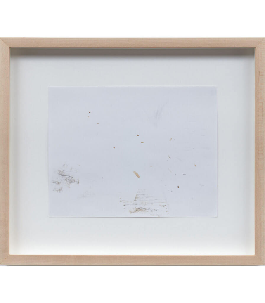 Untitled (Late Nature Drawing)