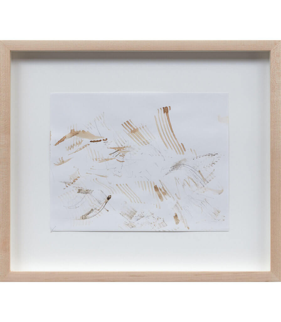 Untitled (Late Nature Drawing)