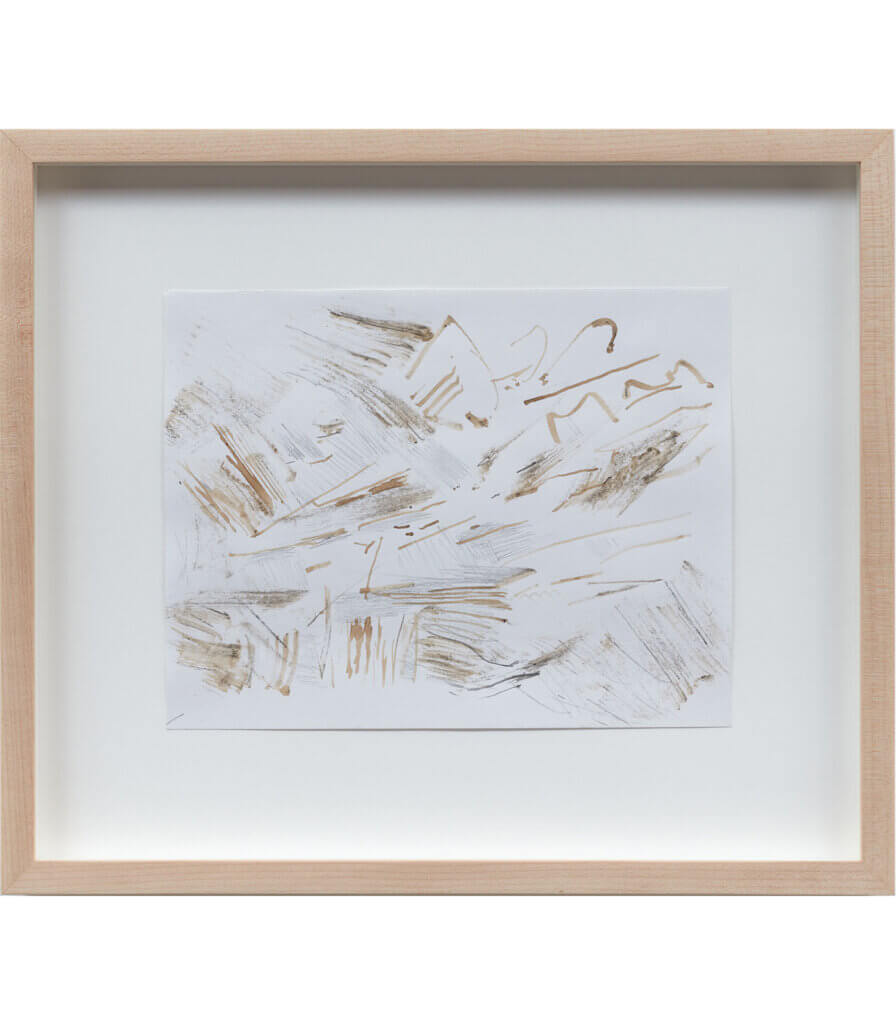 Untitled (Late Nature Drawing)