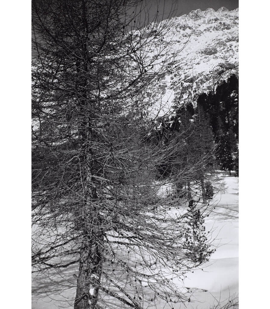 Engadin
