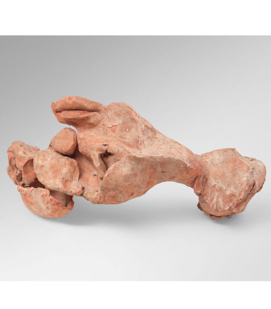 Forma II (Form II)