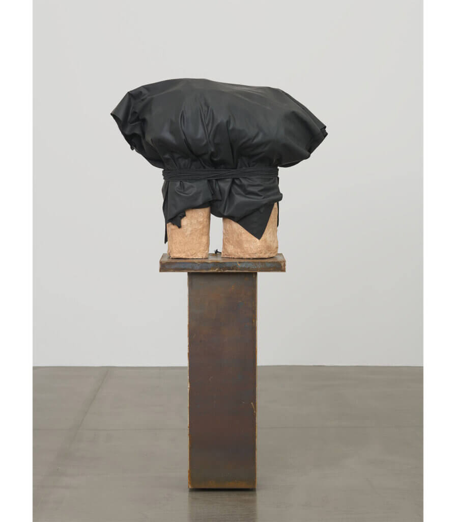 untitled: hostage i; 2019