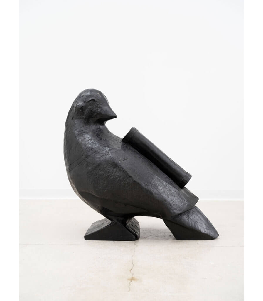 Carrier Pigeon