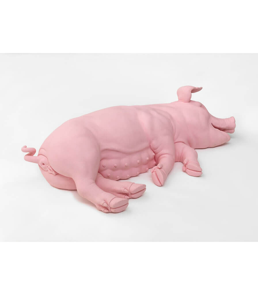 Pig