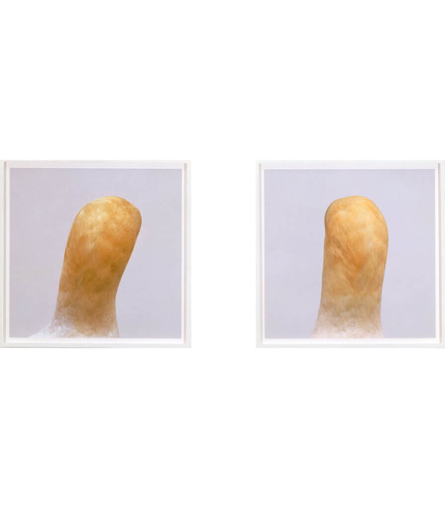Untitled, No. 3