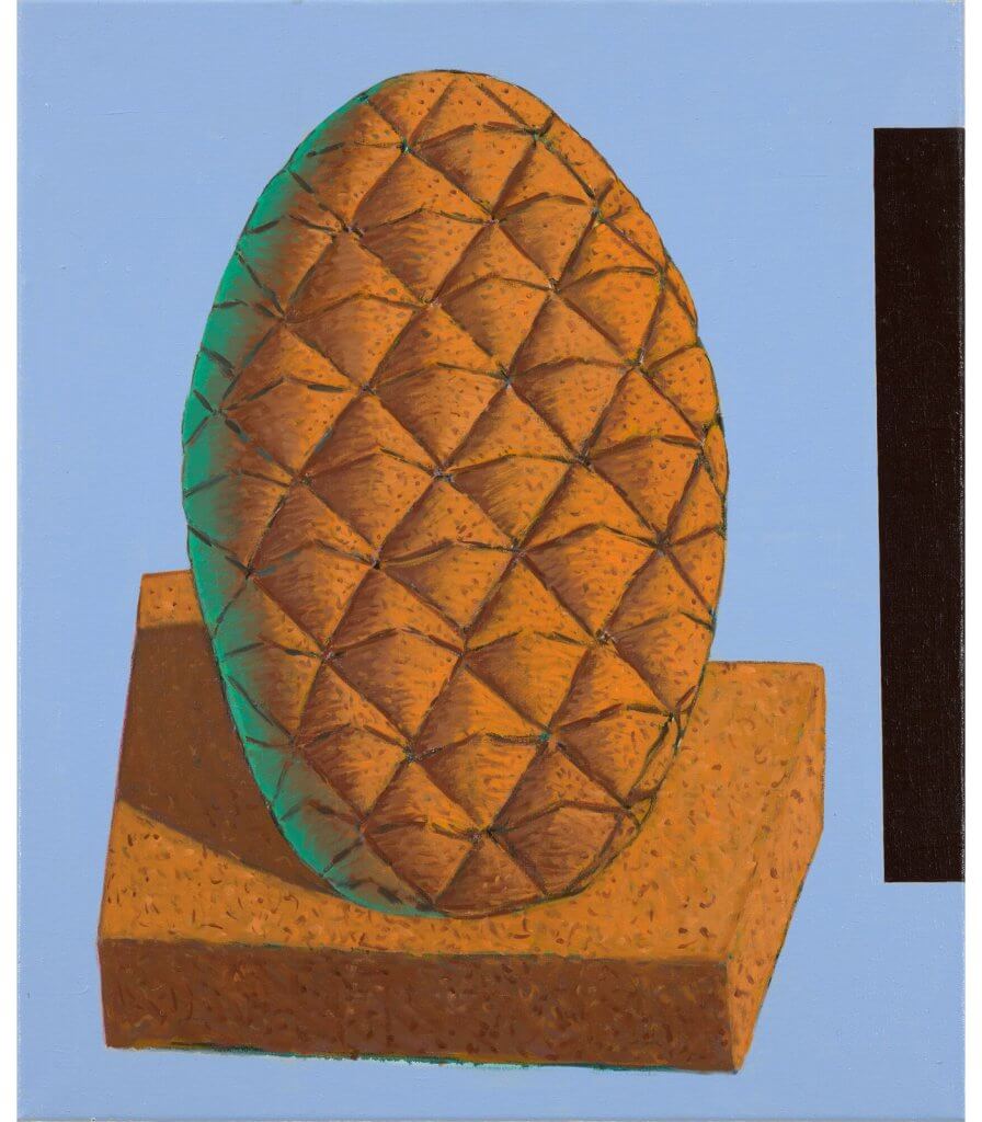 A Pineapple’s Distain