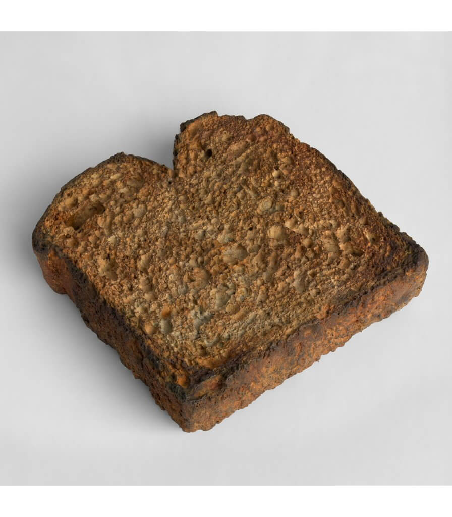 Work No. 3084<br> Toast