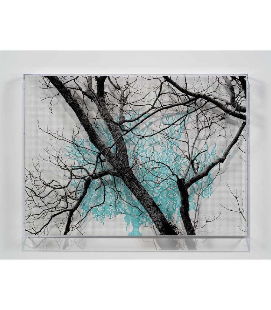 Numbers and Trees: Charleston Series 1, Tree #1, Old Towne Road