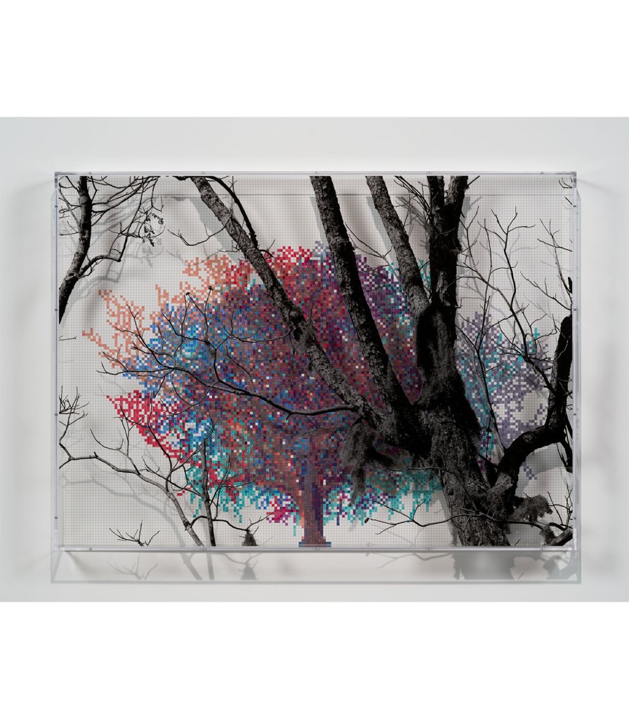 Numbers and Trees: Charleston Series 1, Tree #6, Creeks Edge