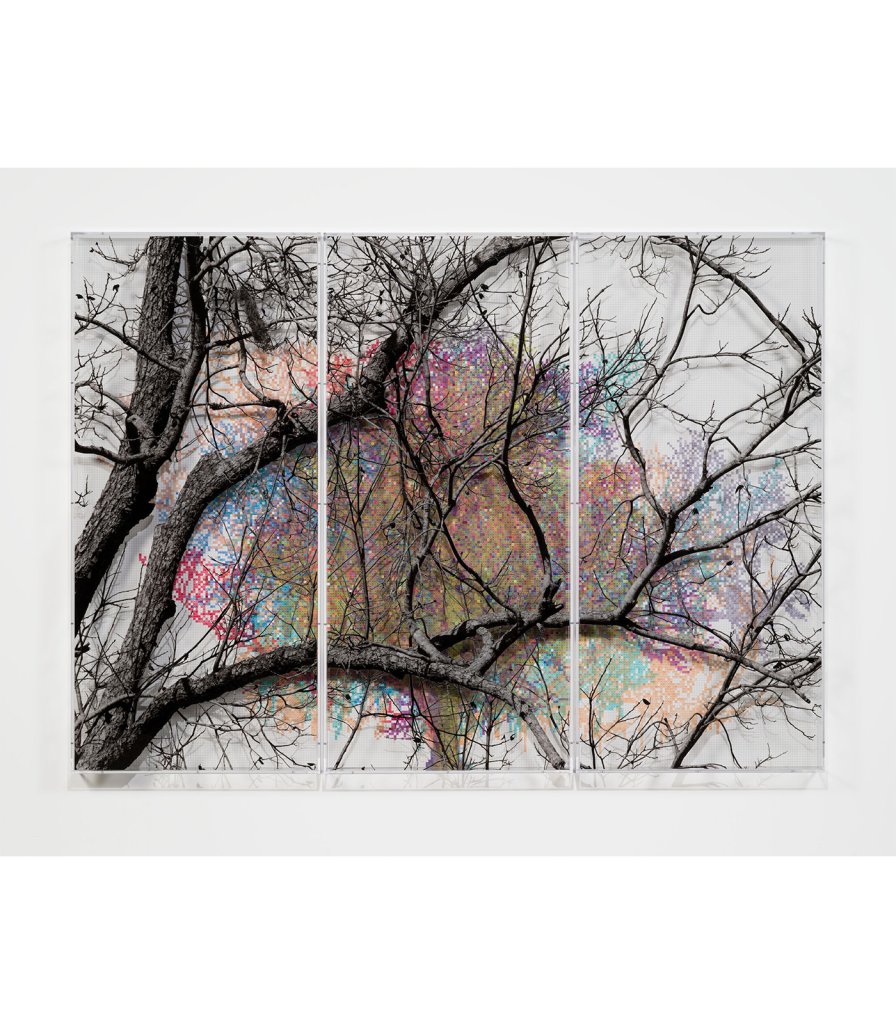 Numbers and Trees: Charleston Series 1, Tree #8, Sage Way