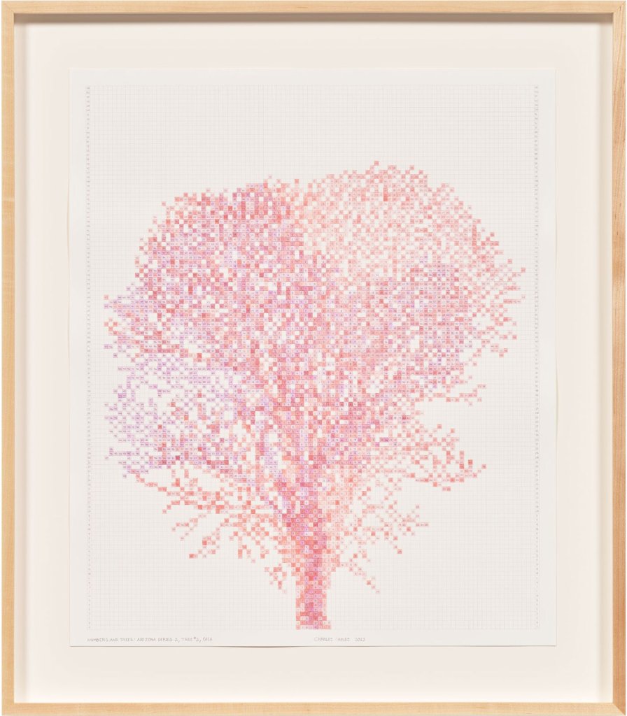 Numbers and Trees: Arizona Series 2, Tree #2, Gila