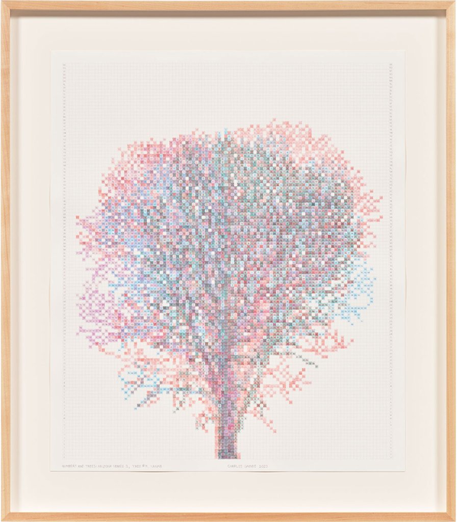 Numbers and Trees: Arizona Series 2, Tree #4, Kanab