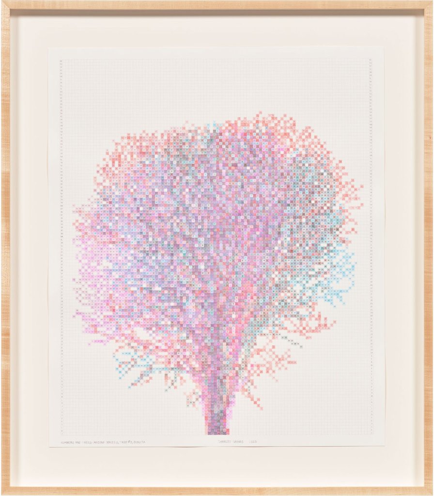 Numbers and Trees: Arizona Series 2, Tree #5, Bonita