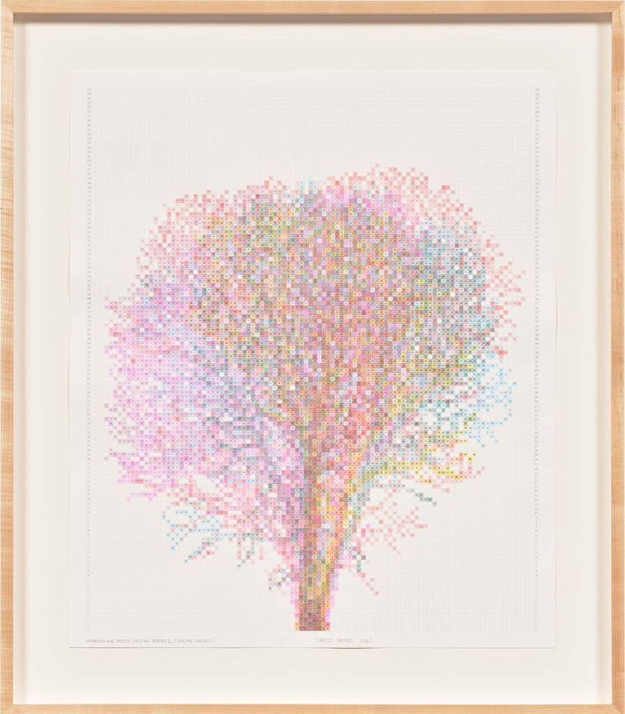 Numbers and Trees: Arizona Series 2, Tree #6, Granite