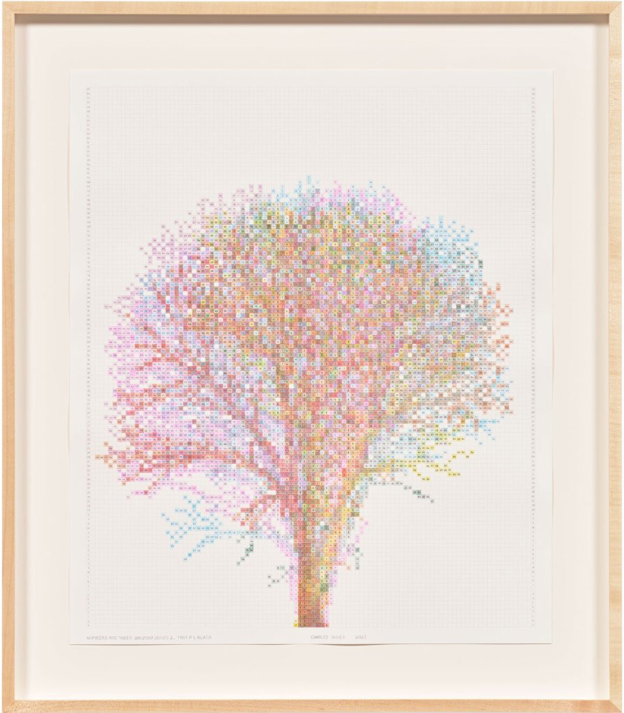 Numbers and Trees: Arizona Series 2, Tree #7, Black