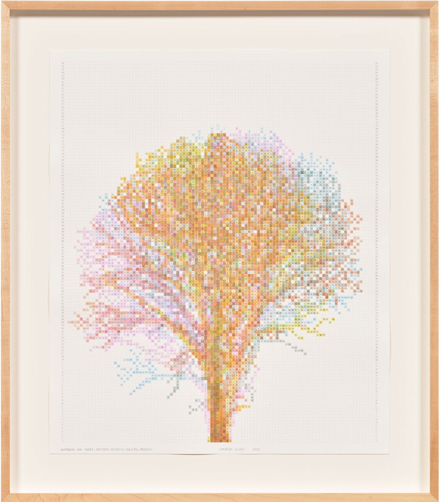 Numbers and Trees: Arizona Series 2, Tree #8, Pantano