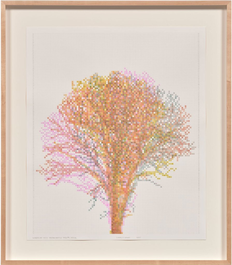 Numbers and Trees: Arizona Series 2, Tree #9, Mescal