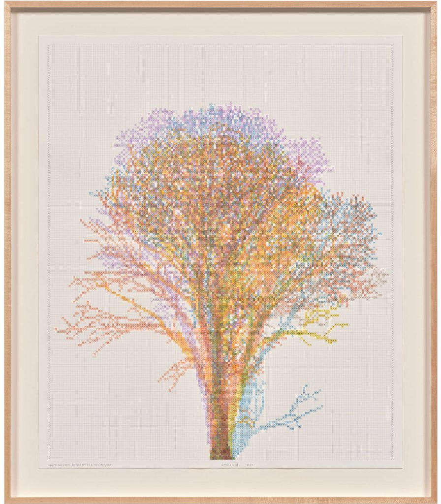 Numbers and Trees: Arizona Series 2, Tree #11, Salt